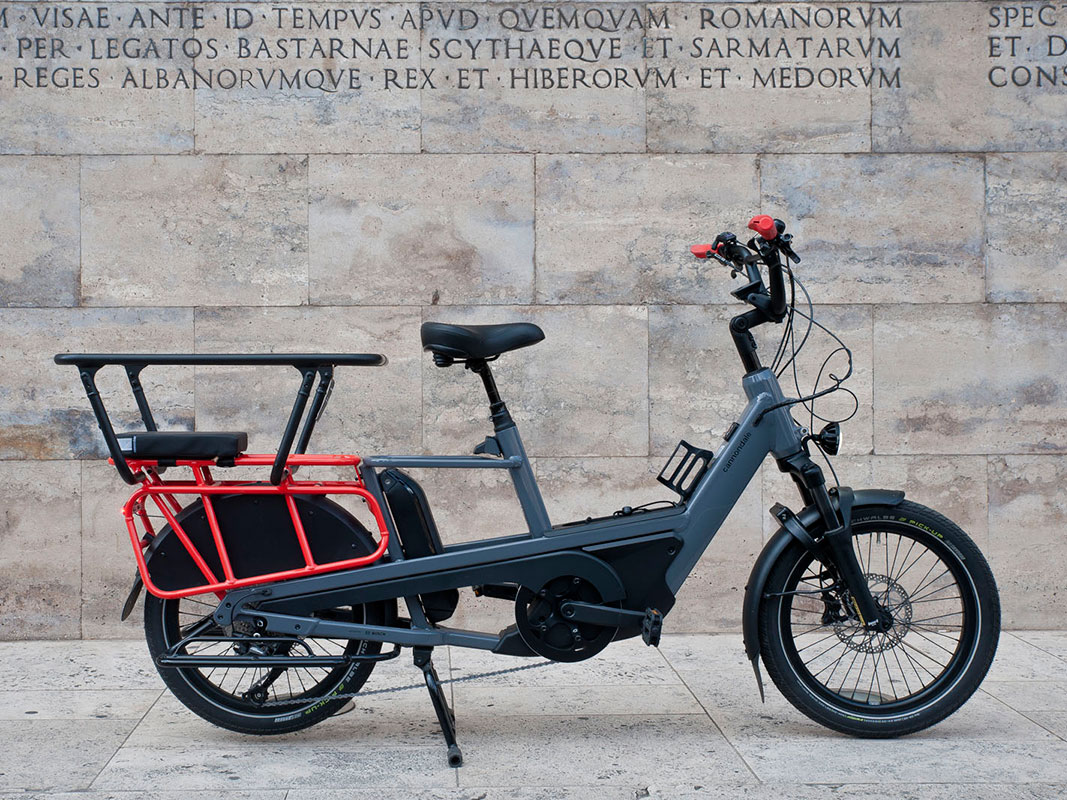 Cannondale Cargowagen Neo 2