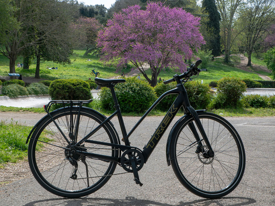 Trek FX+ 2